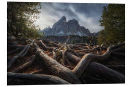 Hartschaumbild Verwurzelt in den Dolomiten