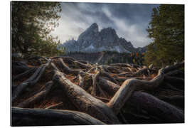 Gallery Print Verwurzelt in den Dolomiten