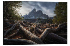 Magnettafel Verwurzelt in den Dolomiten