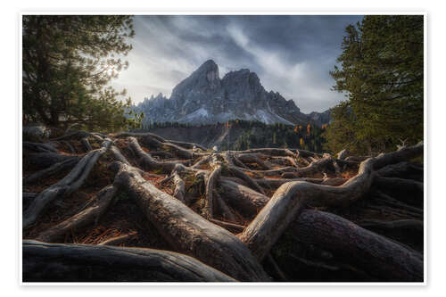 Poster Rooted in the Dolomites