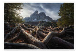 Kunstwerk Rooted in the Dolomites - Martin Podt