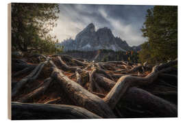 Holzbild Verwurzelt in den Dolomiten - Martin Podt