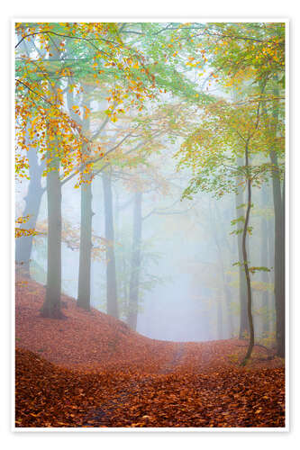 Poster Verträumter Waldweg