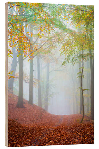 Wood print Dreamy Forest Path