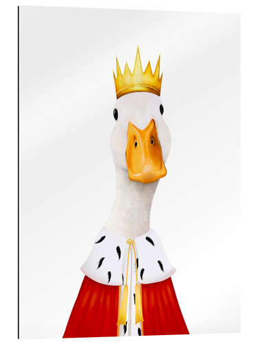 Gallery print King duck