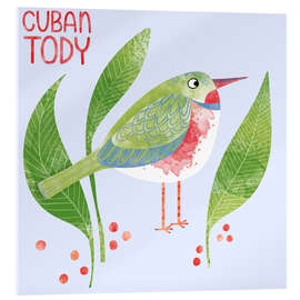 Acrylic print Cuban Tody - Nic Squirrell