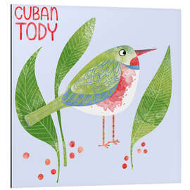 Cuadro de aluminio Cuban Tody - Nic Squirrell
