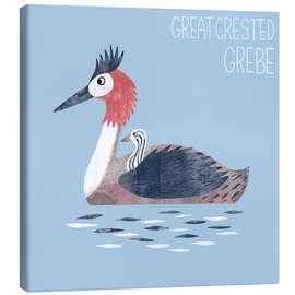 Obraz na płótnie Great Crested Grebe - Nic Squirrell