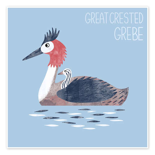 Poster Great Crested Grebe