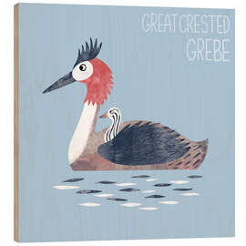 Wood print Great Crested Grebe - Nic Squirrell