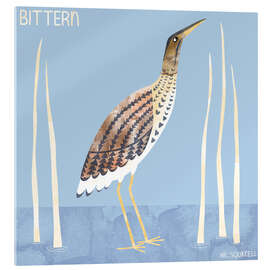 Acrylic print Bittern - Nic Squirrell