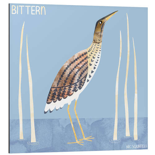 Cuadro de aluminio Bittern