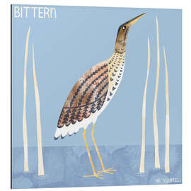 Cuadro de aluminio Bittern - Nic Squirrell