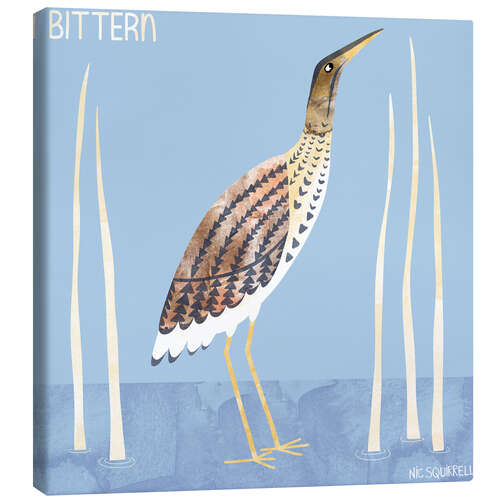 Canvas print Bittern