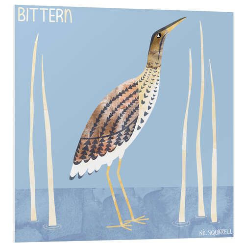 Quadro em PVC Bittern