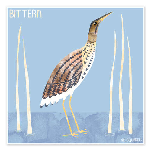 Poster Bittern