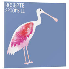 Cuadro de aluminio Roseate Spoonbill - Nic Squirrell