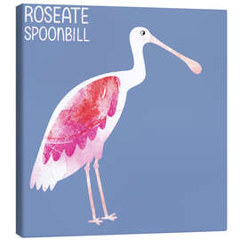 Canvas print Roseate Spoonbill - Nic Squirrell