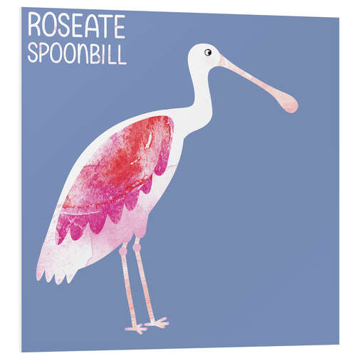 Quadro em PVC Roseate Spoonbill
