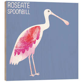 Wood print Roseate Spoonbill - Nic Squirrell
