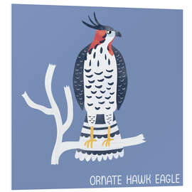 Hartschaumbild Ornate Hawk Eagle - Nic Squirrell