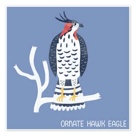 Wall print Ornate Hawk Eagle - Nic Squirrell