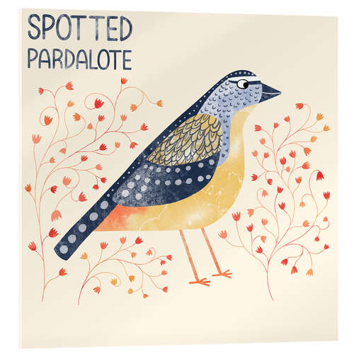 Acrylic print Spotted Pardalote