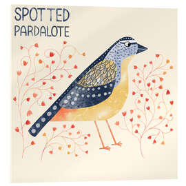 Acrylic print Spotted Pardalote - Nic Squirrell