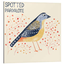 Cuadro de aluminio Spotted Pardalote - Nic Squirrell