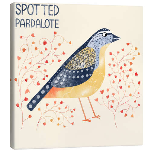 Canvas print Spotted Pardalote