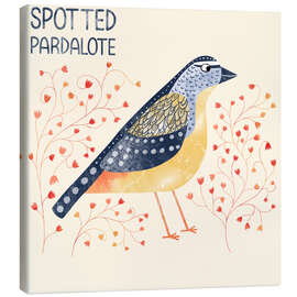 Canvas print Spotted Pardalote - Nic Squirrell