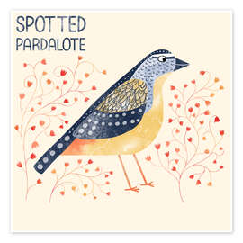 Wall print Spotted Pardalote - Nic Squirrell