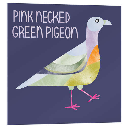 Acrylic print Pink Necked Green Pigeon