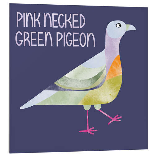 Cuadro de aluminio Pink Necked Green Pigeon