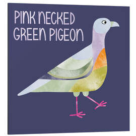 Cuadro de aluminio Pink Necked Green Pigeon - Nic Squirrell