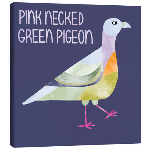Obraz na płótnie Pink Necked Green Pigeon