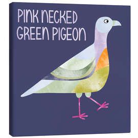 Obraz na płótnie Pink Necked Green Pigeon - Nic Squirrell