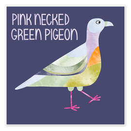 Wall print Pink Necked Green Pigeon - Nic Squirrell