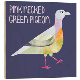 Holzbild Pink Necked Green Pigeon - Nic Squirrell