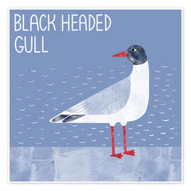 Wall print Black Headed Gull - Nic Squirrell