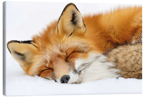 Canvas print Fox sleeping in the snow