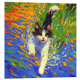 Akrylbillede Diving Cat
