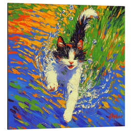 Cuadro de aluminio Diving Cat