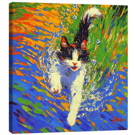 Leinwandbild Tauchende Katze