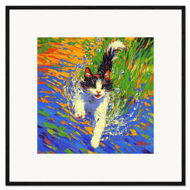 Impression artistique encadrée Diving Cat