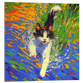 Cuadro de plexi-alu Diving Cat