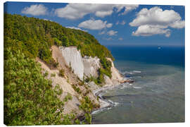 Quadro em tela Chalk cliffs in Jasmund National Park in summer - Markus Lange