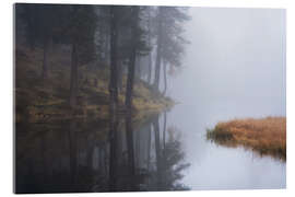 Acrylic print A foggy morning at a lake in the Dolomites - Martin Podt