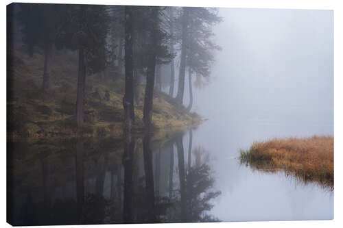 Lienzo A foggy morning at a lake in the Dolomites