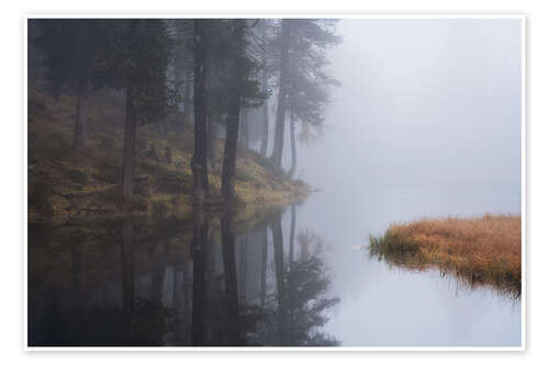 Poster A foggy morning at a lake in the Dolomites